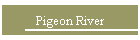 Pigeon River