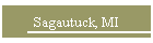 Sagautuck, MI